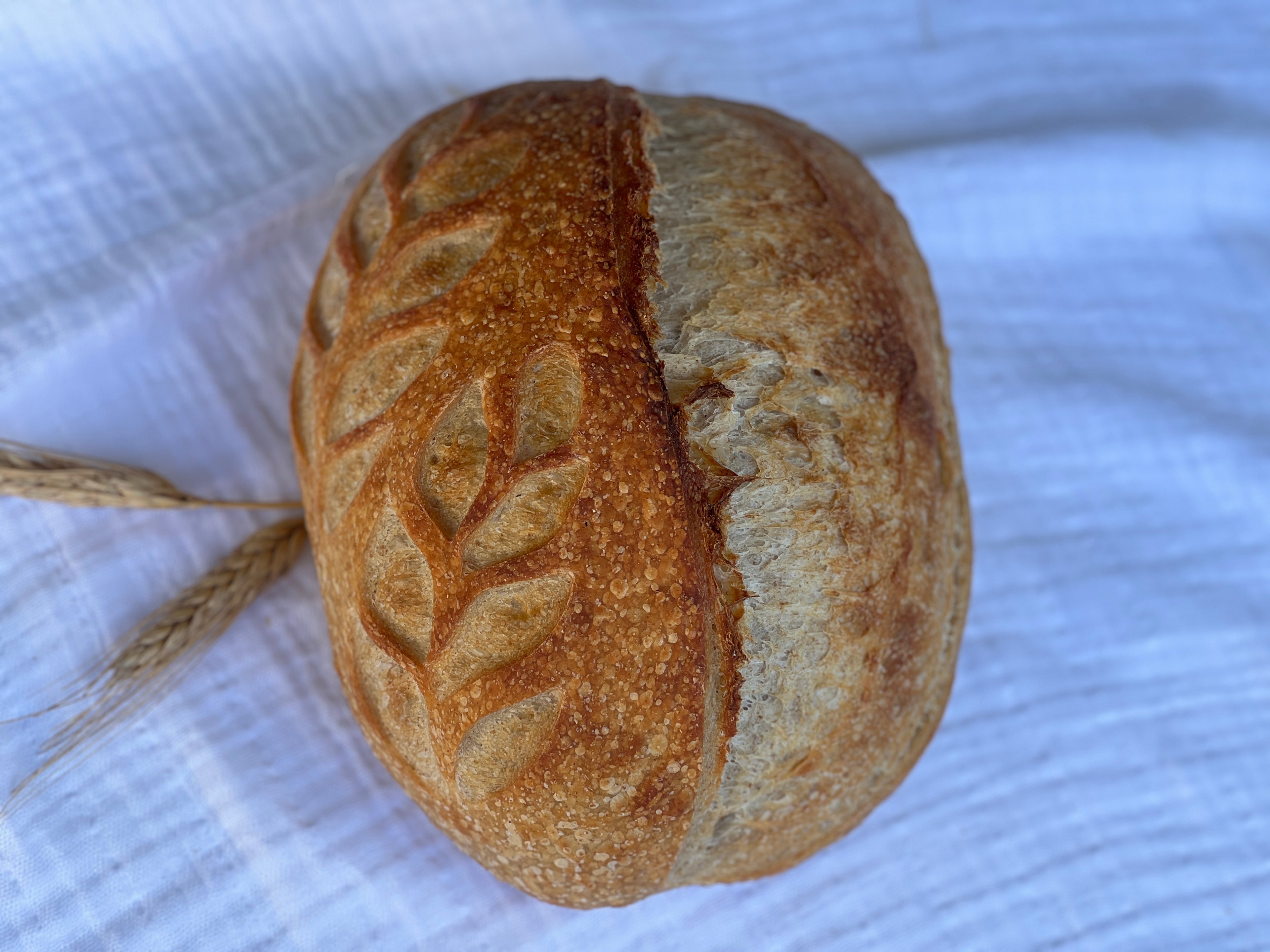 Classic Sourdough Bread