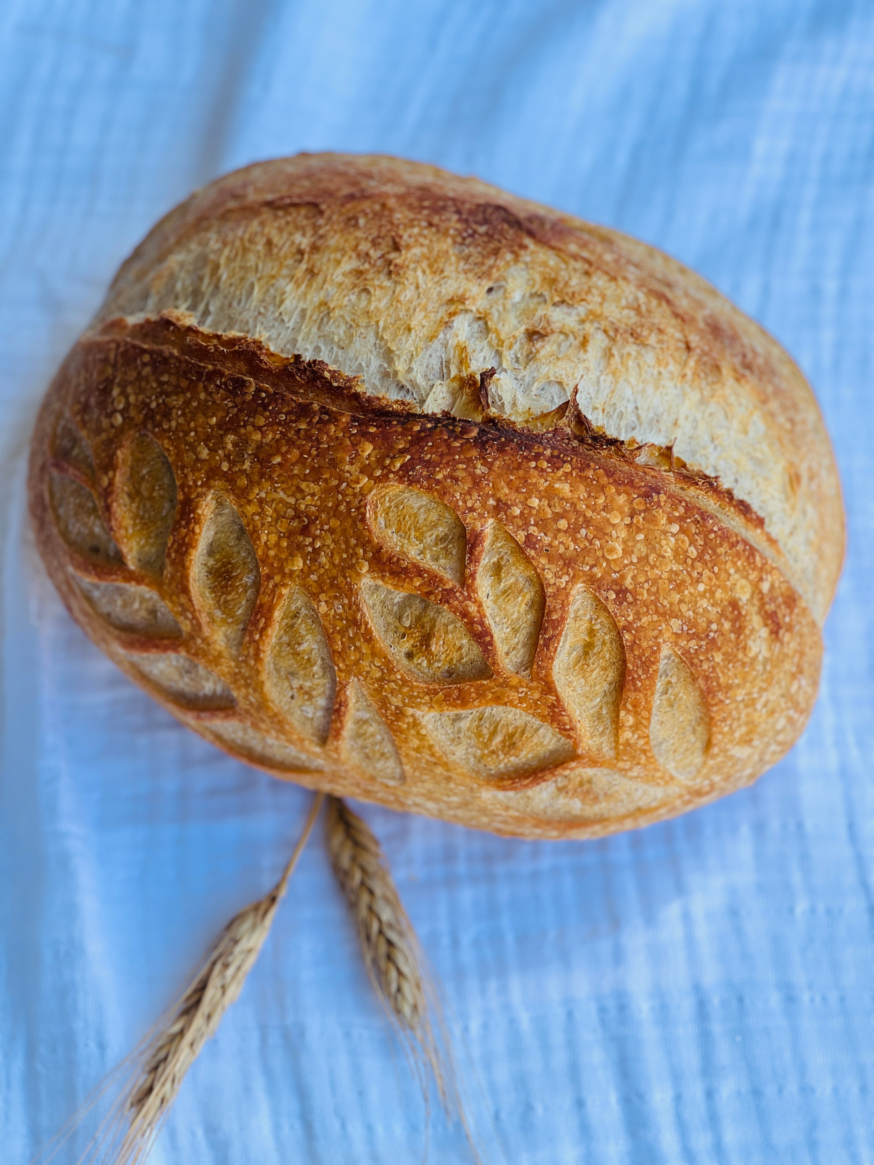 Classic Sourdough Bread