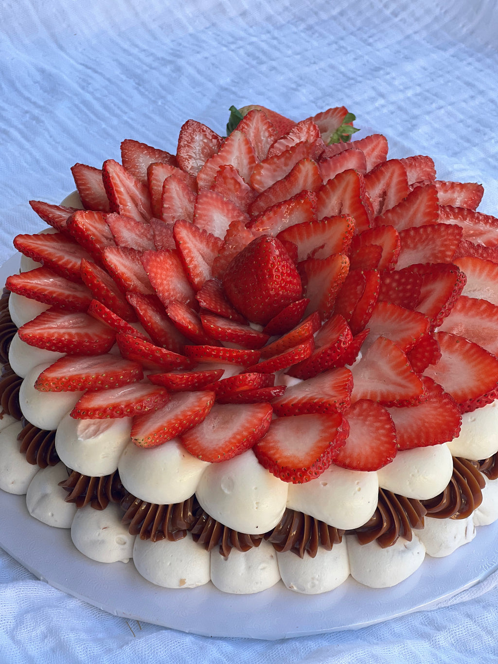 Pavlova Strawberrys