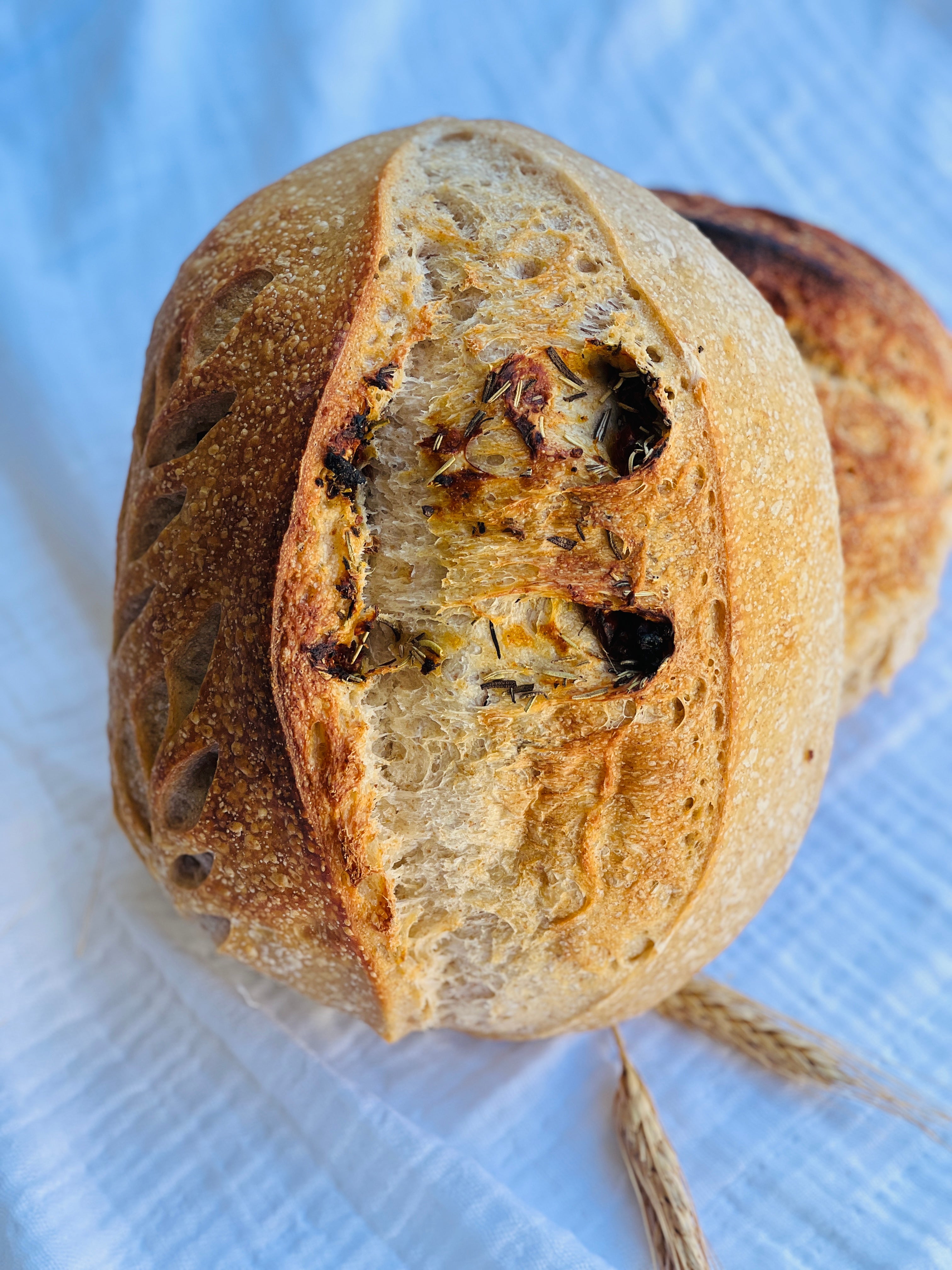 Tomate & Rosemary Sourdough Bread